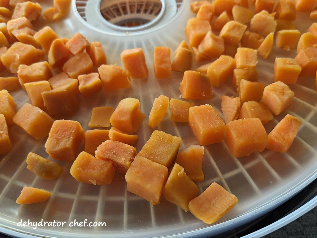 close up of steamed sweet potatoes on a dehydrator tray | dehydrating sweet potatoes | dehydrated sweet potatoes | how to dehydrate sweet potatoes | best foods to dehydrate for long term storage | dehydrating food for long term storage | dehydrated food recipes for long term storage | dehydrating meals for long term storage | food dehydrator for long term storage