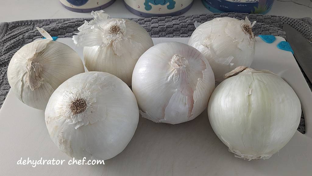 several pounds of white onions on cutting board | dehydrating onions | dehydrated onions | best foods to dehydrate for long term storage | dehydrating food for long term storage | dehydrated food recipes for long term storage | dehydrating meals for long term storage | food dehydrator for long term storage