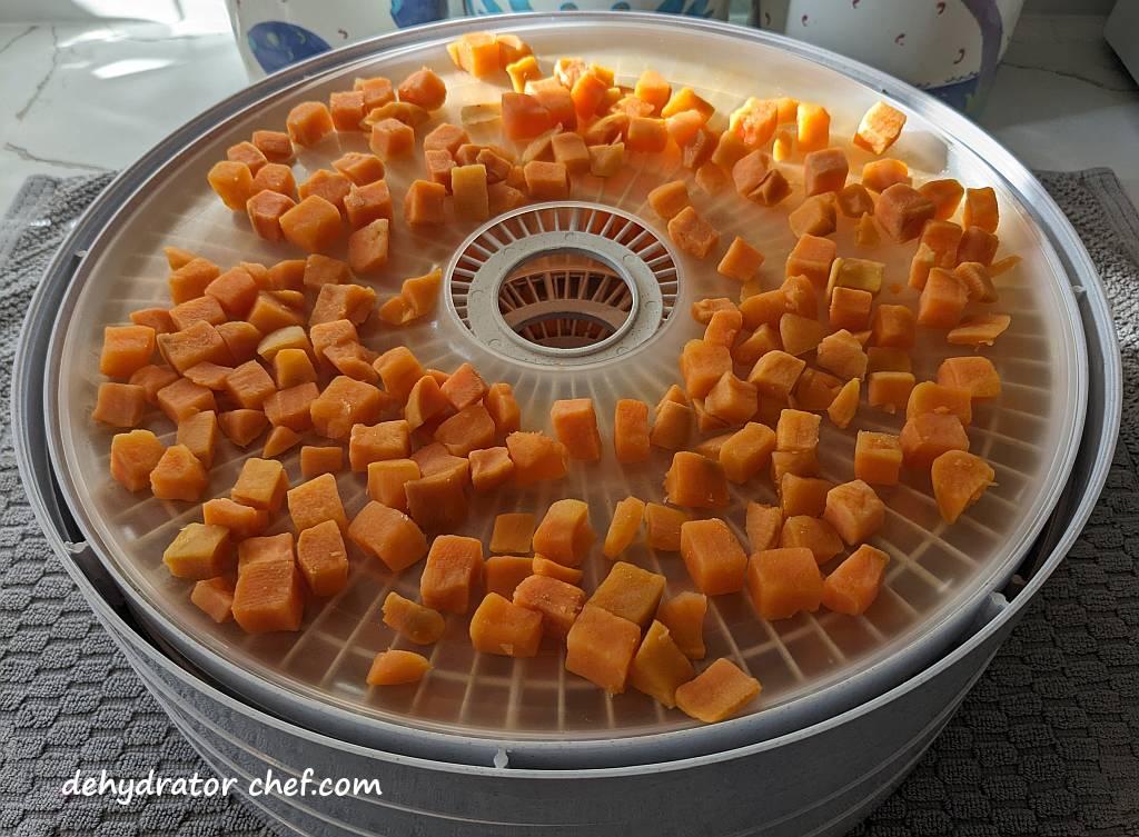 steamed sweet potatoes on dehydrator trays | dehydrating sweet potatoes | dehydrated sweet potatoes | how to dehydrate sweet potatoes | best foods to dehydrate for long term storage | dehydrating food for long term storage | dehydrated food recipes for long term storage | dehydrating meals for long term storage | food dehydrator for long term storage