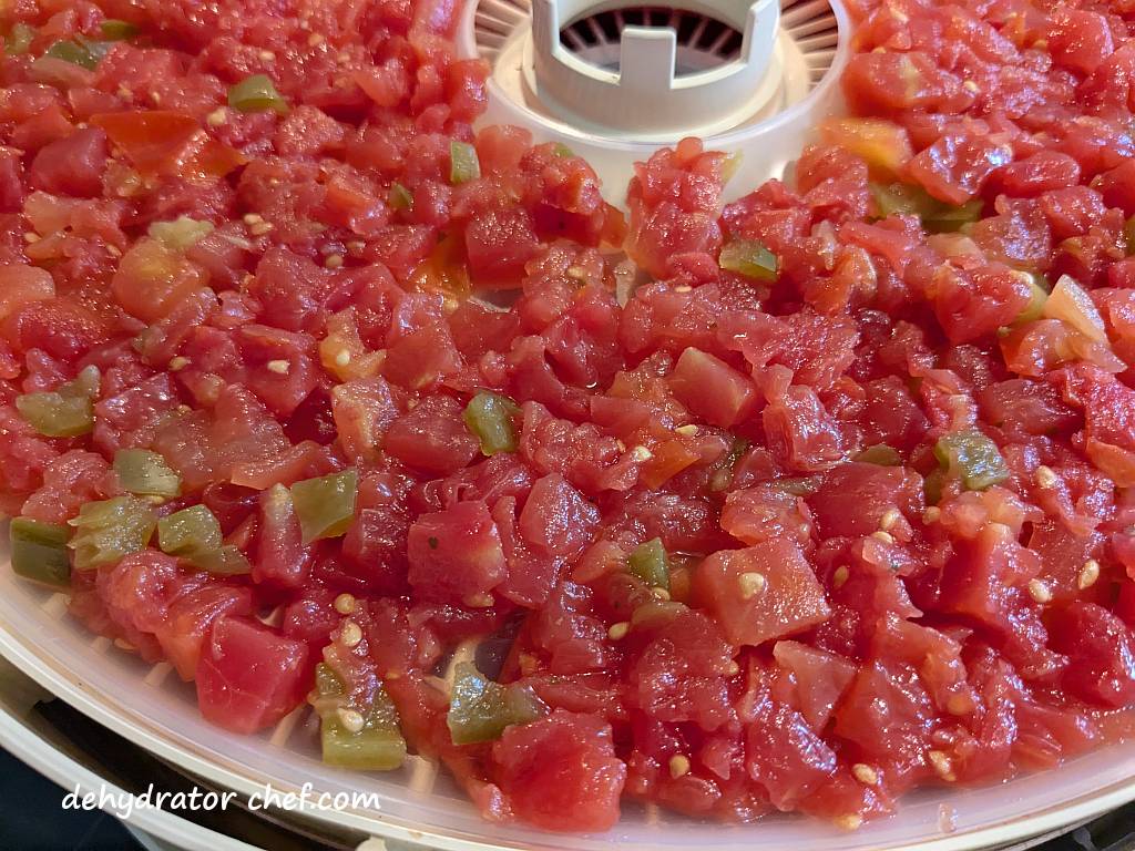 A close-up of the RoTel diced tomatoes with green chilies on the fruit roll sheet inserts.