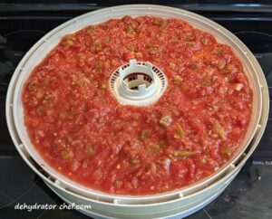 Pace chunky salsa on dehydrator tray.