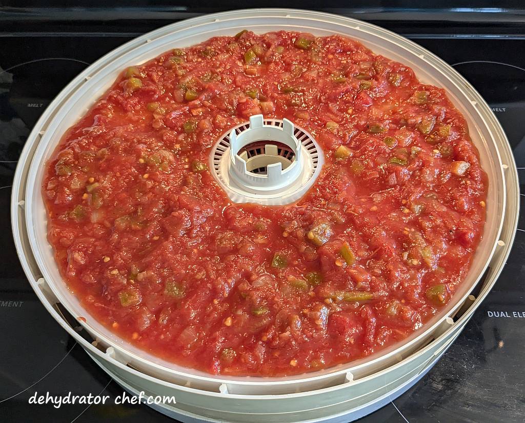 This is one 16-ounce jar of Pace Chunky Salsa thinly layered onto a fruit roll sheet using a spatula.  Salsa is a popular condiment and one of the best foods to dehydrate for long-term storage.  Dehydrate what you normally eat.