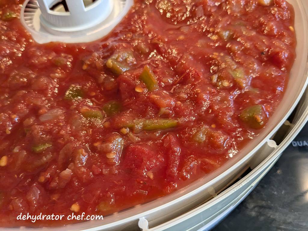 A close-up view of the chunky salsa that we are going to dry today.  We used a spatula to help spread it around the fruit roll sheet and get it into a thin layer for the best dehydration results.