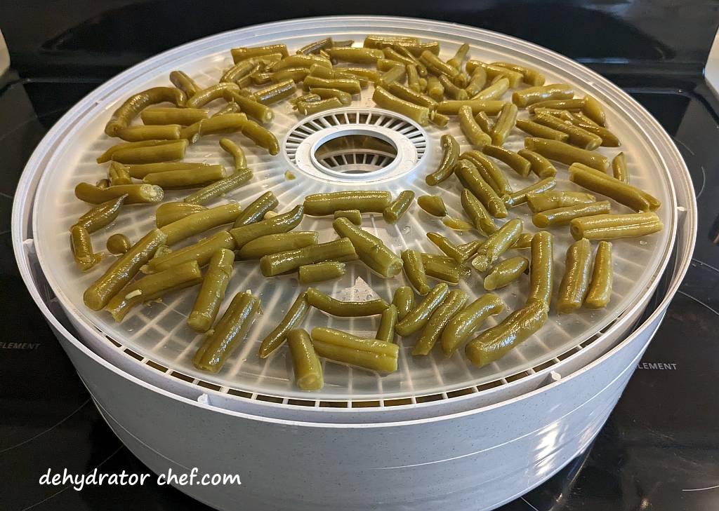 This is one 14.5-ounce can of drained and rinsed cut green beans.  One can per tray is plenty.  You want to leave plenty of airflow around the green beans to promote even drying, don't want to overcrowd the trays.