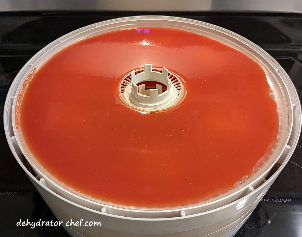 Tomato sauce mixed with water on a dehydrator tray when dehydrating food for long-term storage.