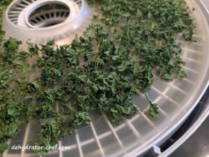 A close up view of the dehydrated parsley on the drying trays.