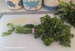 We have trimmed off the cut end of the parsley stems. The trimmings will go out into the compost pile.