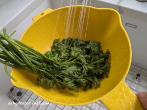 We are rinsing the fresh parsley with water in a colander before processing it further for dehydration.