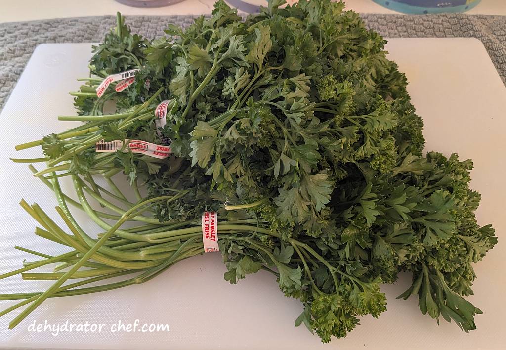 Several bunches of fresh parsley on a cutting board that we will dehydrate for long term storage.