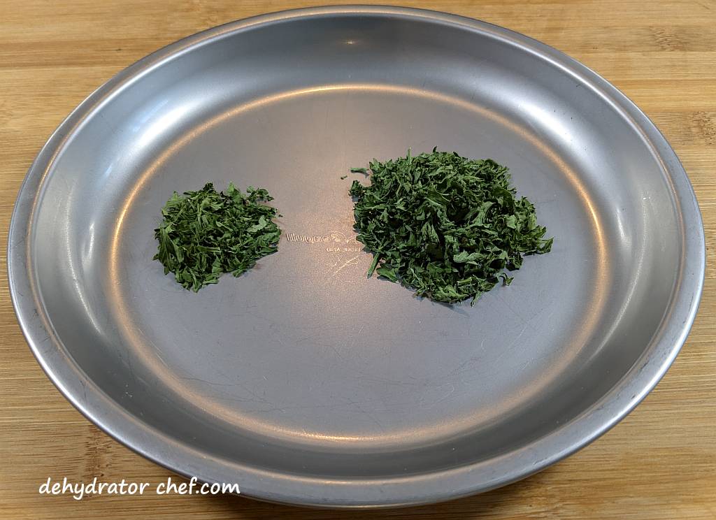 Using a food dehydrator for long-term storage is real easy to do. On the left of the plate is one teaspoon of dehydrated parsley flakes, and on the right is one tablespoon of dehydrated parsley leaves.