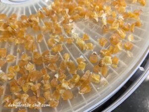 A close-up of the dehydrated corn. The dried corn kernels have lost a lot of moisture and are now hard and puckered little nuggets. We’re calling it done.