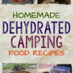 The book titled, Homemade Dehydrated Camping Food Recipes: How to Dehydrate Food for Camping, Hiking, and Backpacking: A Step-by-Step Guide.